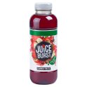 Juice Burst Summer Fruits 500ml (Case of 12)