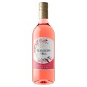 Blossom Hill Crisp & Fruity Rosé Wine 750ml (Case of 6) Blossom Hill