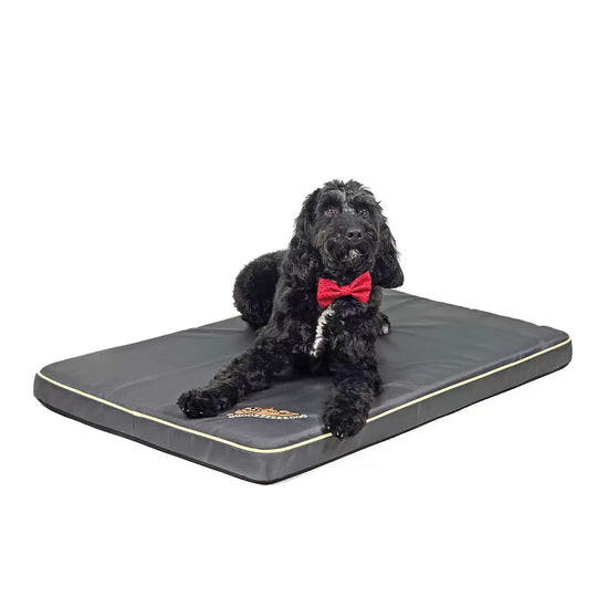 Snoozzzeee Dog® Xtreme Water Resistant Pet Mat in Two Colours, 70cm x 100cm Kirkland