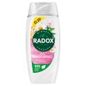 Radox Mineral Therapy body wash Feel Moisturised 225 ml [PM £1.25] (Case of 6) Radox