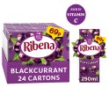 Ribena Blackcurrant Juice Drink 250ml [PM 65p ], Case of 24 Ribena